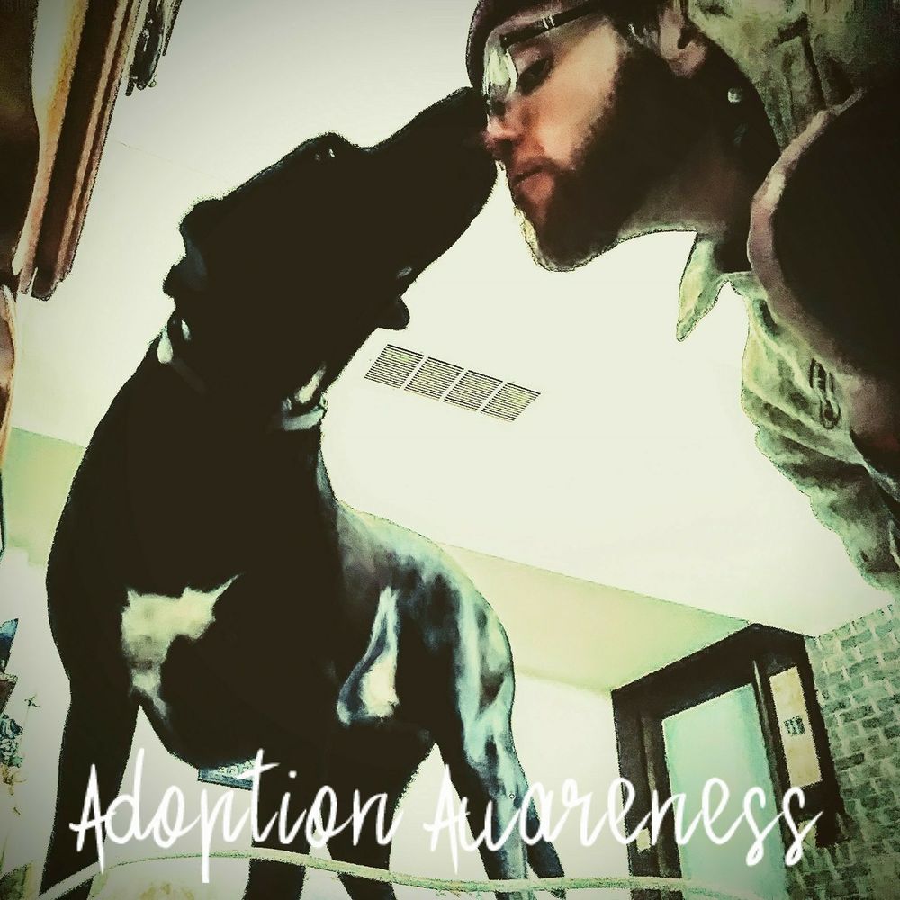 Meet your Posher, Sean